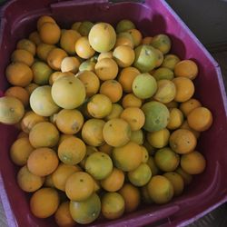 Naranjas. Solo Personas Interesadas