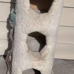 Cat  Condo