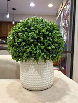 Artificial Ball Plant With Pot