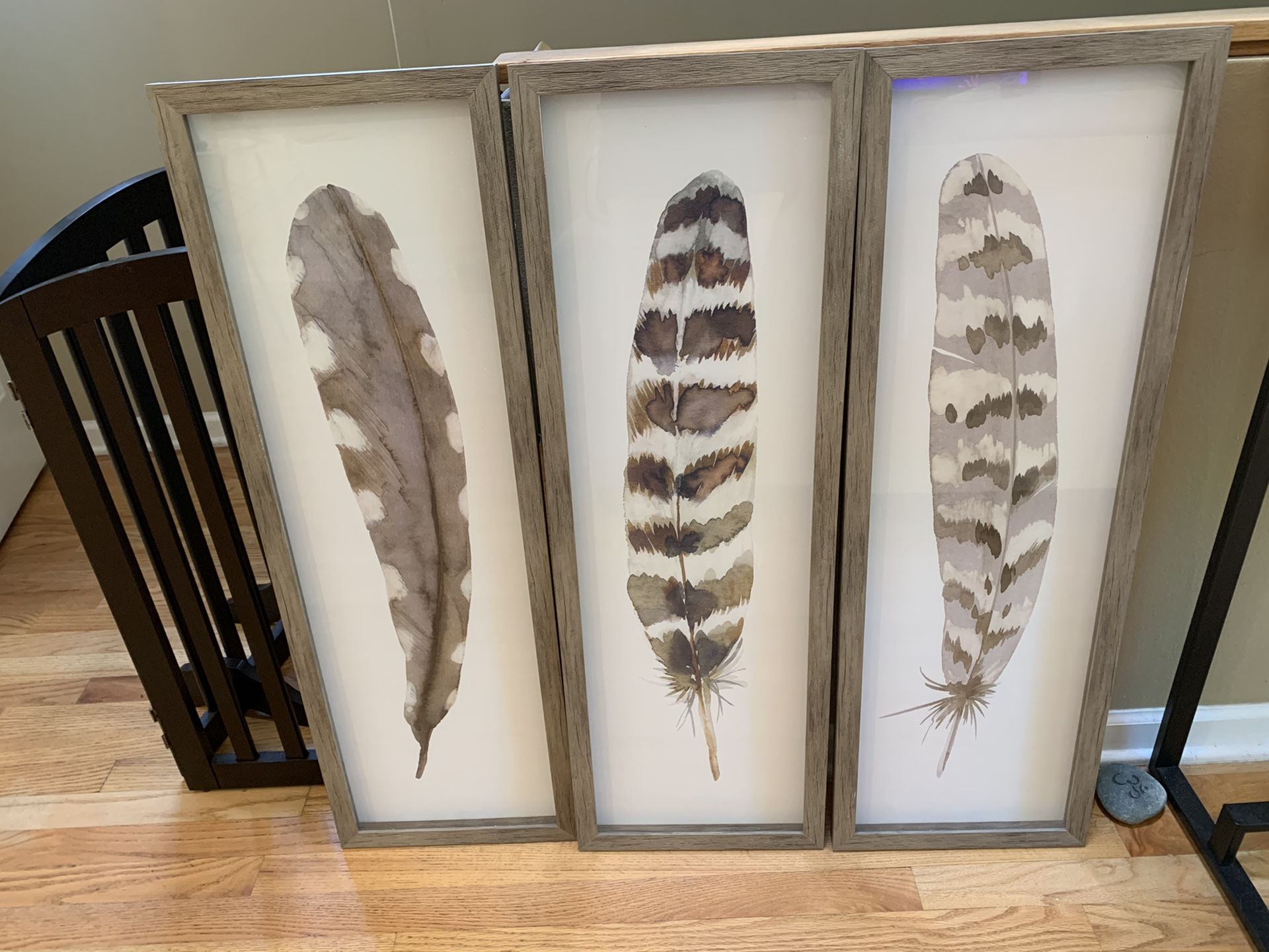 Artwork - feathers in light oak frames (3)