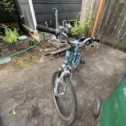 Schwinn Bike