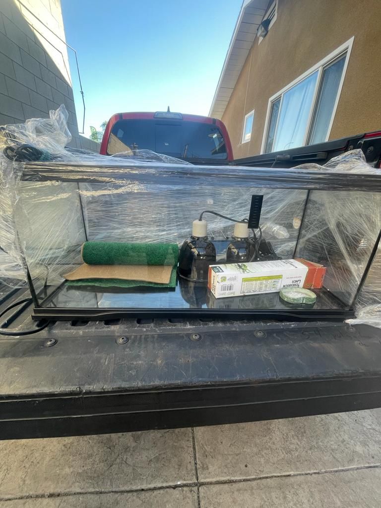 Bearded Dragon Tank Or Fish Tank