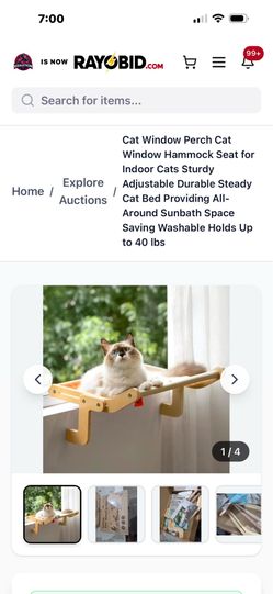 Cat perch house bed