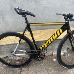 Unknown Fixie 300