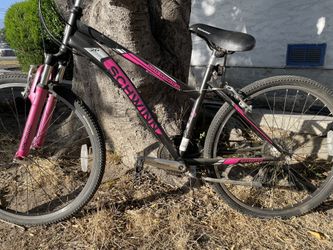 Womans Bike