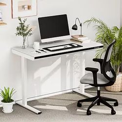 FlexiSpot ED2 48" Electric Standing Desk, White — Brand New