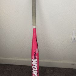 softball bat