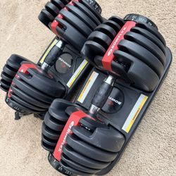 BowFlex Dumbbells 552 (2x)