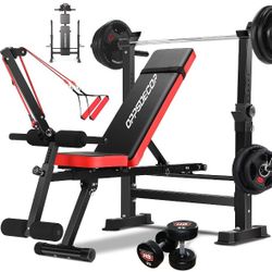 Workout Bench (Brand New)