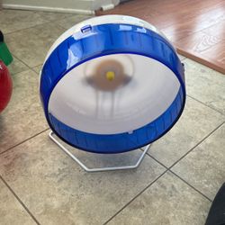 Hamster Wheel 
