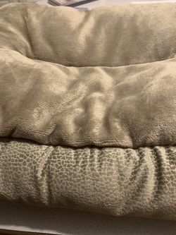 Pet Bed