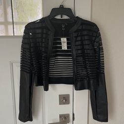 Leather Jacket From Windsor
