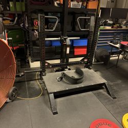 Rogue Rhino Belt Squat