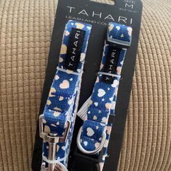 Dog Collar And Leash