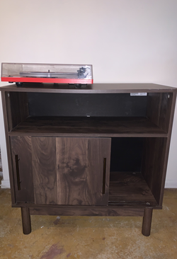 Wooden Vinyl Record Storage and Accent Cabinet
