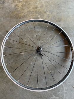 Bontrager TLR Bicycle Wheel