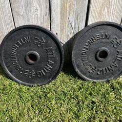 Pair Of 45lb Steel Plates - Standard Size 