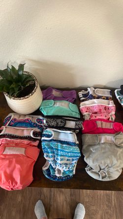 11 Like New Dog Diapers
