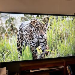 Sharp 60” LCD Display PN-E601