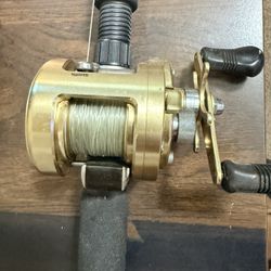 Shimano Calcutta Te 300