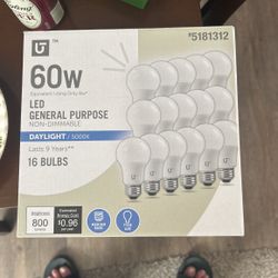 Light Bulbs