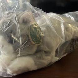 Bearington Grey Cat Stuffed Animal