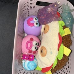 Authentic Used Squishes