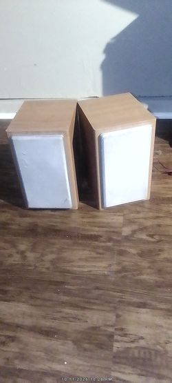 "SPEAKER SYSTEM " (2 SPKRS)