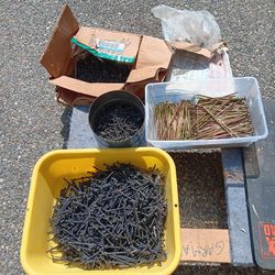Interior Screws