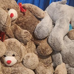 Giant Teddy Bears