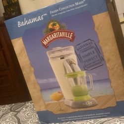 Margarita Mixer $100