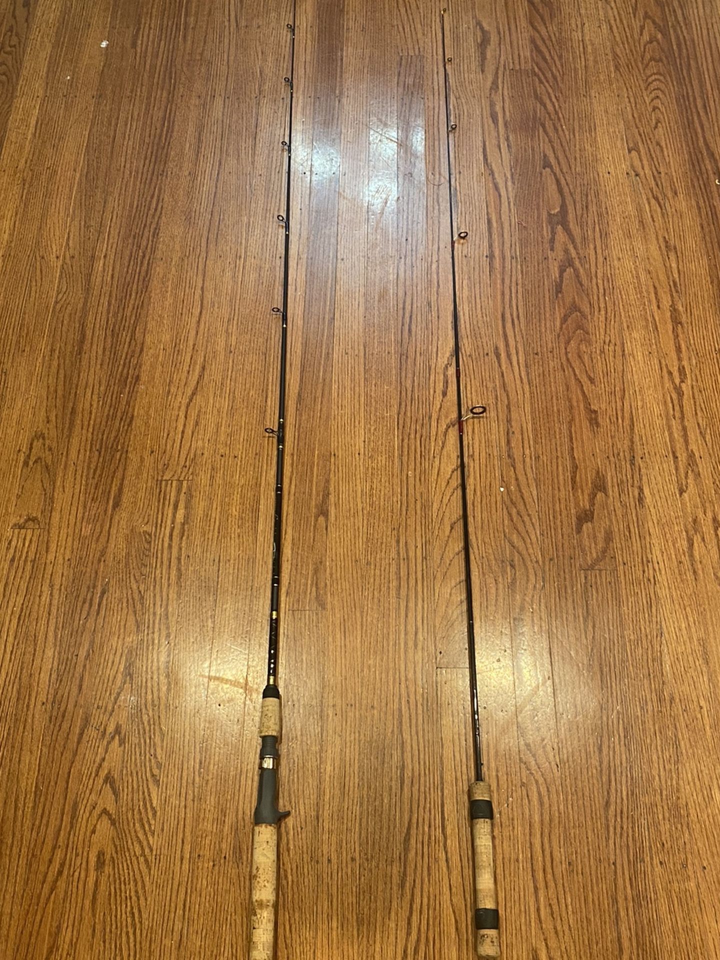 2 Light Fishing Rods