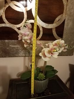 Flowers; orchids; artificial-$20