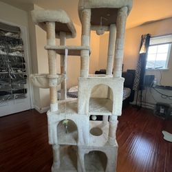 Cat Bed For Sale (spacious) 5”5ft