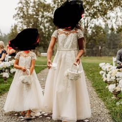 Elegant Dresses, Size 3 And 8