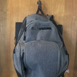 Demarini Baseball/softball Bag