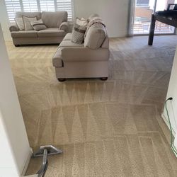Carpet Cleaner