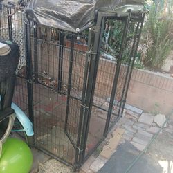 Paula Para Perros