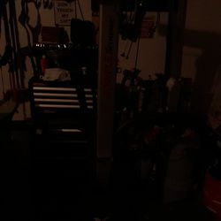Bowflex Extreme