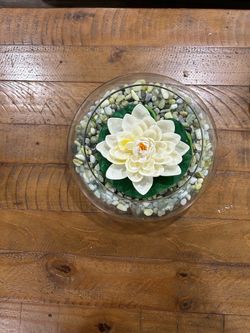 25 White foam Lilly pad flowers