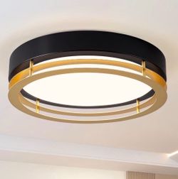 Ceiling light