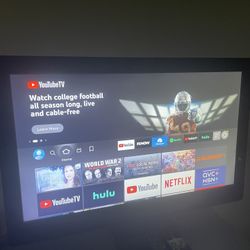 Vizio Tv 28in