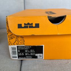 LeBron James Shoes
