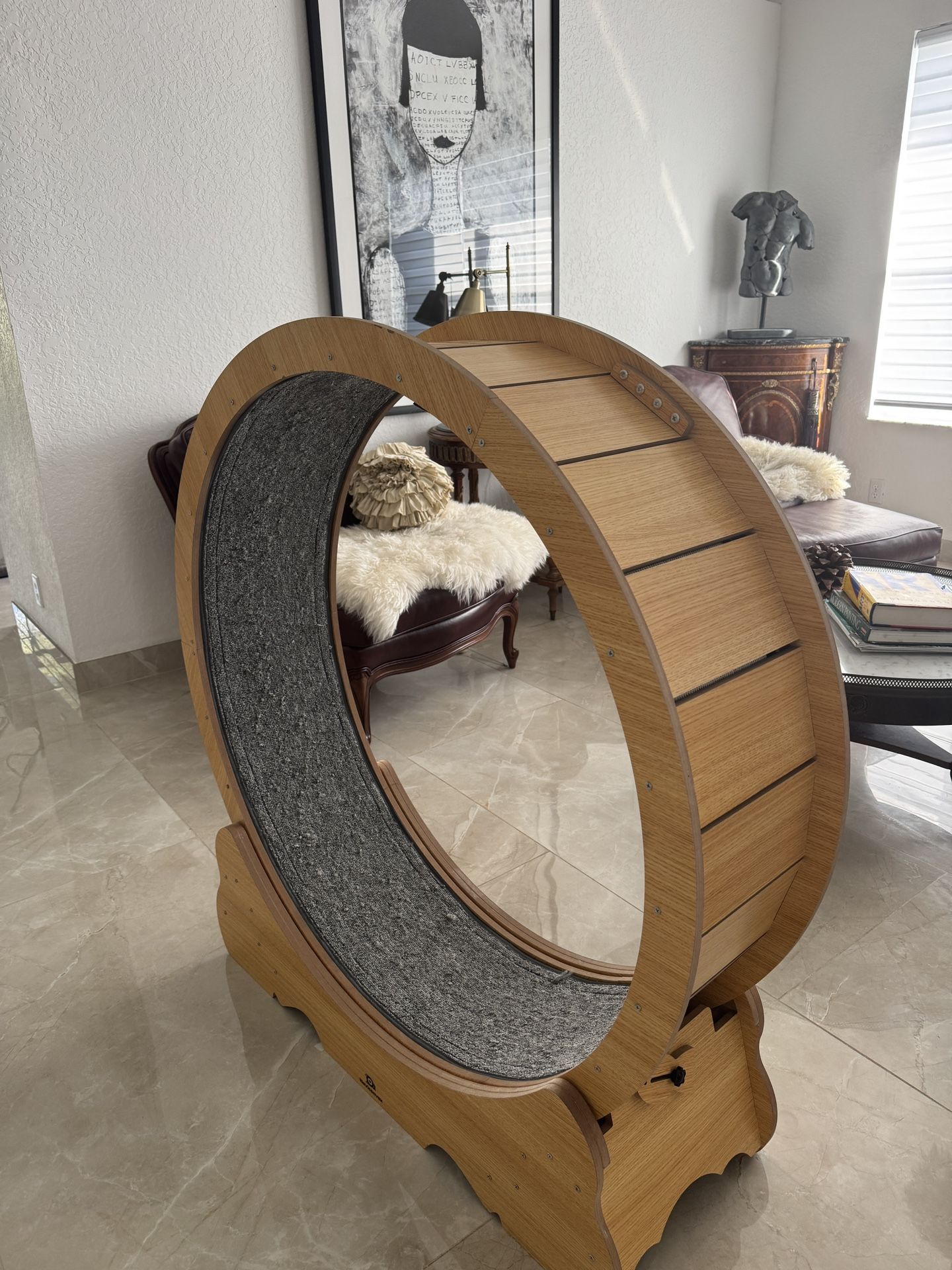 Cat Wheel