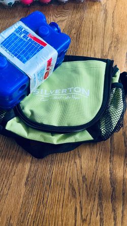 Lunch Box / Cooler and 2 Ice Blocks