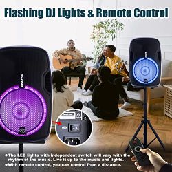 15" Bluetooth party speaker