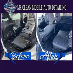Car Carpet Cleaner 