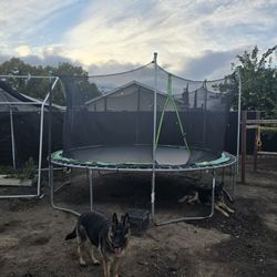 Trampoline 14'ft