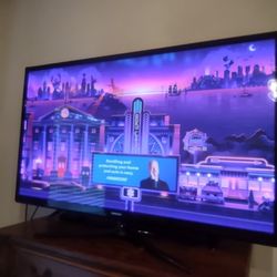 Samsung Plasma HD Flat TV 