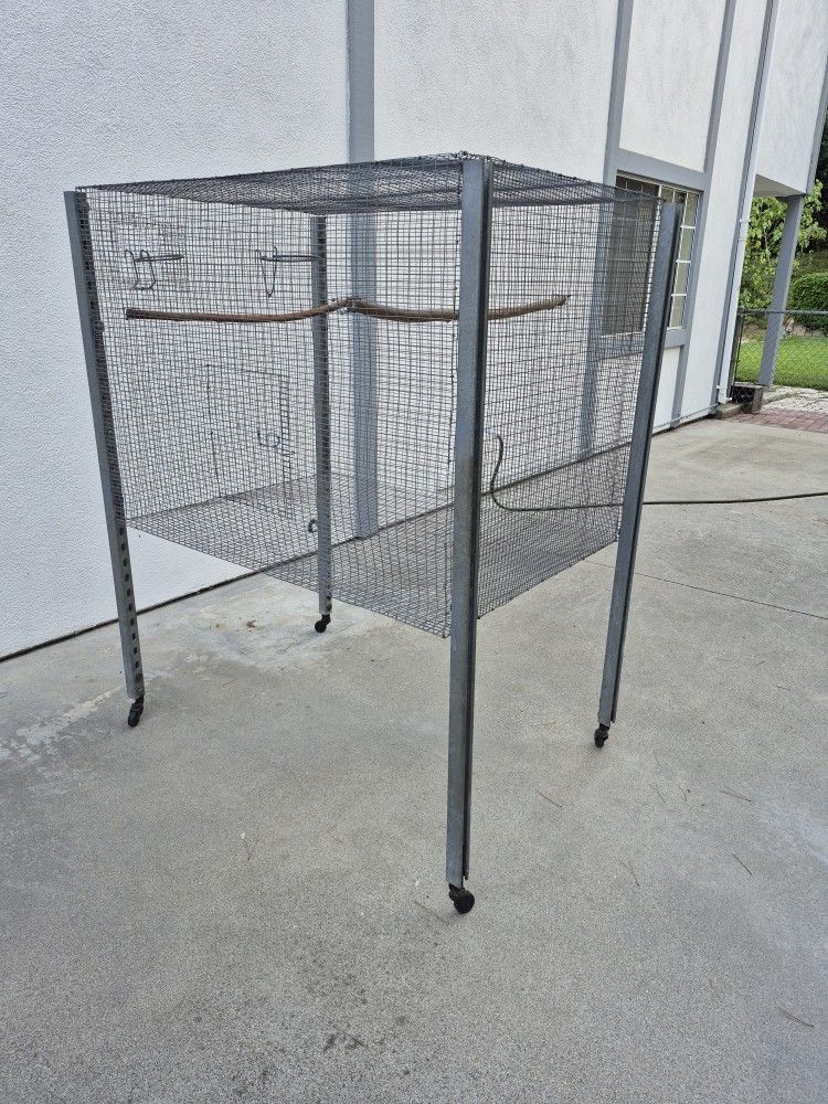 Bird Cage